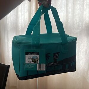 mini insulated trader joe’s bag